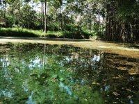 Wisata Budaya Desa Ngrawan