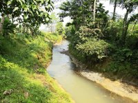 Agroeduwisata Waru Farm Land