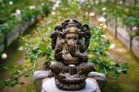 Agro, Farming & Cultural Hub