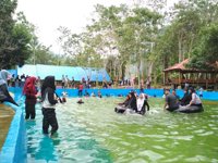 Wisata Polewali Mandar - Rawa Bangun