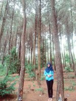 Hutan Pinus Panggul - Trenggalek