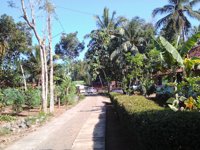 Kampung Pelangi Wonoroto