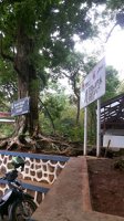 Wisata Kura-kura Belawa