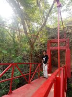 Sabrangan Forest Park Bogorejo