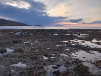 Pantai Tanjung Kapur