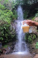 Wisata Alam Curug Roda