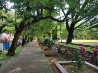 Taman Pakui Sayang