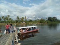 Konservasi Penyu Ampiang Parak