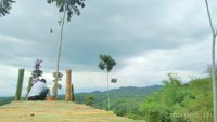 Wisata Bukit Kisinuk Ciloganti