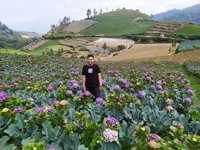 Arboretum Sumber Brantas