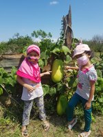 Kebun Jeruk Dan Jambu Miracle Farm