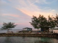 Penangkaran Hiu Karimunjawa/shark Breeding Menjangan Besar Island