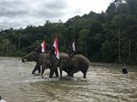 Cru Sampoiniet, Sarah Deu