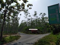 Cagar Alam Manggis Gadungan (alas Simpenan)