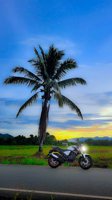Spot Sunset