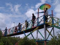 Mangrove Setapuk Besar