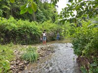 Kelapa Tiga