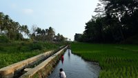 Sumber Buntung Wisata Air Alami Urek Urek