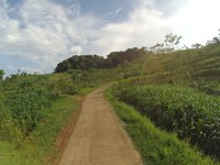 Wisata Alam Gunung Sindangrasa