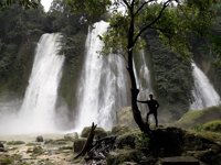 Konservasi Penyu Pangumbahan
