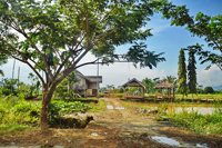 Taman Nasional Rawa Aopa Watumohai