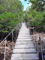 Tanjung Kamala Watuline