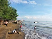 Wisata Pantai Tambak Indah