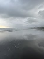 Pantai Petangahan