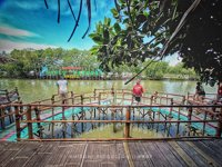 Ekowisata Hutan Mangrove Caplok Barong Ambulu