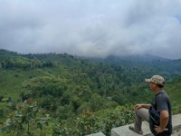 Kebun Teh Lawang Kedaton Tiris
