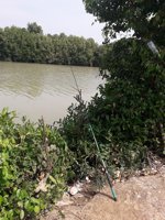 Wisata Mancing Kakap Putih