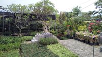 Sandat Bali Garden