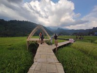 Wisata Alam Gubug Lereng Merangan