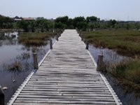 Green Mangrove Limbangan Pemalang