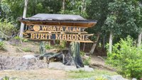 Bukit Mahoni