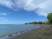 West Bali Explorer & Menjangan Homestay