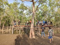 Destinasi Wisata Pantai Kupang