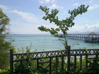 Wisata Pulau Karampuang