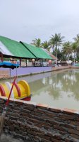 Coconut Garden