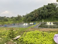 Batoo Farm Adventure