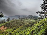Taman Nasional Gunung Halimun Salak