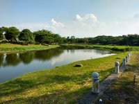 Danau Elysium, Lippo Cikarang