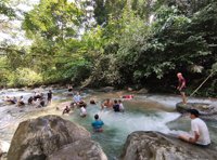 Wisata Alam Pohon Damai Simempar