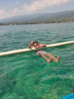 Tu Ajus Dolphin Lovina