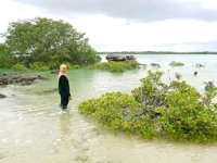 Pantai Nusa Indah