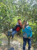 ꦮꦶꦱꦠꦥꦼꦠꦶꦏ꧀ꦗꦼꦫꦸꦏ꧀