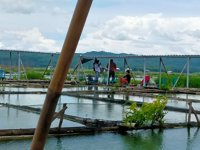 Tempat Wisata Mancing Ikan Air Tawar Di Tengah Bendungan