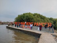 Wisata Mangrove Pancer