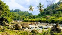 Wana Wisata Rusa Tanjungsari
