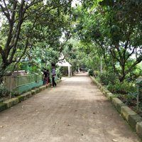 Agro Eduwisata Ragunan